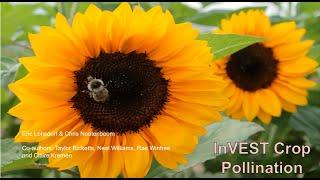 Introduction to the InVEST Crop Pollination Model