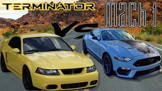 Racing my STOCK Mach 1 vs a Bolt on Pullied TERMINATOR Cobra