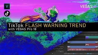 FLASH WARNING TikTok Tutorial | VEGAS Pro 18