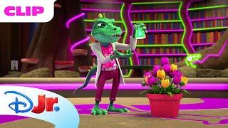 The Flower Contest  | Spidey and His Amazing Friends ️ | Disney Jr. MENA