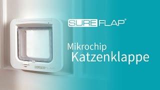 Registrieren Ihrer Katze in die SureFlap Mikrochip Katzenklappe