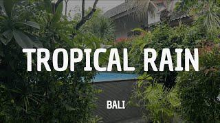 Tropical Rain in Bali - 24 Minutes of Relaxing Rain Sounds for Sleep, Relaxation & Ambience