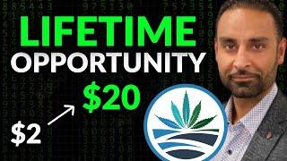 Why I Own High Tide Shares (HITI Stock Analysis) – BEST Cannabis Company EVER 