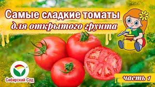 Сладкие томаты для открытого грунта серии "Сахар и мёд" от агрофирмы "Сибирский сад"