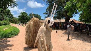 APRES UN DURE LABEUR ON DENSE LE KUMPO KAFOUNTINE