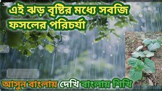 বর্ষাকালে প্রচন্ড বৃষ্টির হাত থেকে কিভাবে সবজি ফসল সুরক্ষিত রাখবেন দেখুন / #sobjichas, #borsharsobji