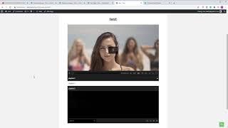 Ultimate Video Player Wordpress Plugin start at a playlist or video directly in the shortcode