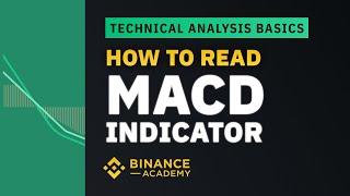 How to Read MACD Indicator  ｜Explained For Beginners