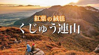 【紅葉が山肌を染める】憧れのくじゅうの紅葉！坊がつるテント泊で楽しんできました！