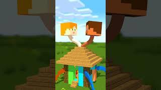 Steve House and Alex House!!!??? - Minecraft animation #minecraft #shorts