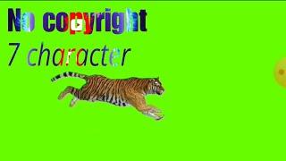 Free green screen cartoon video- no copyright Tiger character