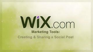 Marketing Tools: Creating & Sharing a Social Media Post | Wix Tutorials