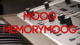 The Venerable Moog Memorymoog -  Inspiration for the Moog Muse?