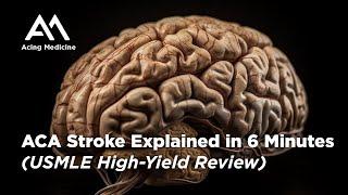 ACA Stroke Explained in 6 Minutes: USMLE High-Yield Review | Acing Medicine