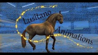 SSO | The Lusitano Animations/Gaits!