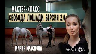 Как работать с лошадью на свободе? Мария Краснова. 7 Игр Пата Парелли.