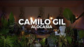 Minimal deep house sounds at Casa Sanz by Camilo Gil - Alocasia TV Santiago