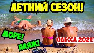 ОДЕССА ЛЕТНИЙ СЕЗОН МОРЕ ПЛЯЖ СОБАЧИЙ 13 АВГУСТА 2021 ️ODESSA SUMMER SEASON BEACH AUGUST 2021️