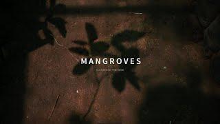 Mangroves | First look | Documentry | Parag Sawant