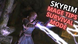 Skyrim Anniversary Edition: New Player Tips for Mages in Survival Mode!