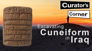 Excavating Cuneiform Tablets in Iraq with the Girsu Project | Curator's Corner S8 Ep3