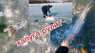 Обловил всех. Местные просто в шоке от этой снасти. #рыбалка #fishing #낚시 #carpfishing