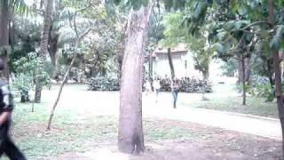 Le Parkour - CSB