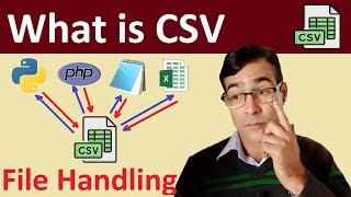 What is CSV files and what is used for | How to convert excel file to CSV format | File Handling