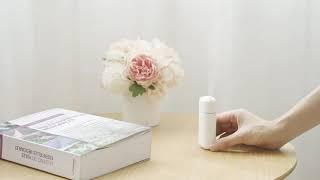 Softambient - Professional ultrasonic diffuser MiniBreeze