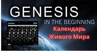 Мерность Времени и Живой Календарь нашего пространства, Часть 4;  Мировозрение Успешной Жизни