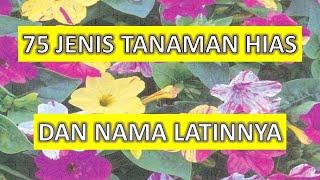 75 Jenis Tanaman Hias Dan Nama Latinnya, Dari Tanaman Ekor Musang Sampai Ekor Cendrawasih