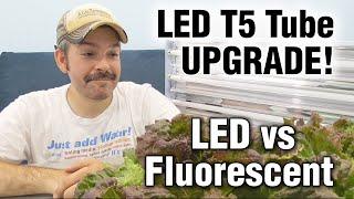 T5 HO Fluorescent vs LED Replacement Bulb Grow Lights for Shelves -Hydroponic Lettuce Test & Review