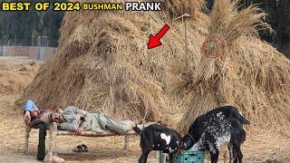 Scare Bushman Prank Of 2024! Epic Reactions Best BUSHMAN Gags Video LOL