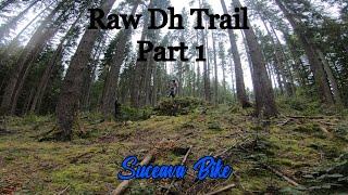 Raw Downhill Trail | New Bike (Cube Two15 Pro)