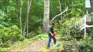 Marietta Tree Service® | Tree Removal -Tree Trimming (770) 912-4033