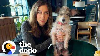 Chelsea Peretti Goes On a Dodo Dream Date | The Dodo