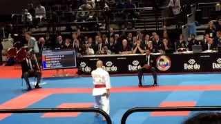 22nd World Senior Karate Championships 2014- Kata Annan by Ilja Smorguner (GER)