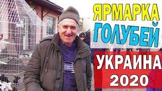 Хорошая ярмарка голубей и другой живности в Украине г. Знаменка 2020