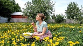 В русской деревне. Одуванчиковый сироп. Когда все цветет в деревне.