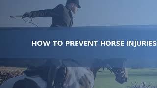 How to Keep Your Horse in in Elite Condition and Injury free -  - Richard D Schibell Racing