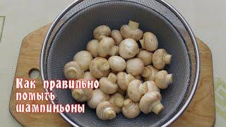 Как правильно помыть шампиньоны? Полезный совет от ARGoStav Kitchen