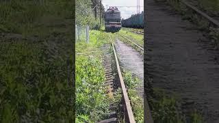 Списанный ВЛ10-1206 в Капитолово... #2024 #train_rus #legend #хаюхай_play #trollvmz #вл10