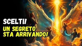 IL SILENZIO DEI PRESCELTI: UN MISTERO CHE CAMBIERÀ TUTTO!