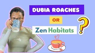 DUBIA ROACHES VS ZEN HABITATS 4x2x4 ENCLOSURES | WHICH IS BEST?