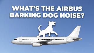 What Is The Strange Barking Noise Some Airbus Aircraft Make?
