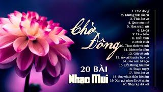 20 Bài Nhạc Mùi Nghe Ghiền Mãi Không Quên - LK Nhạc Vàng Hải Ngoại Chờ Đông, Đường Xưa Lối Cũ