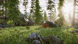 Unity 3d - Forest Environment Level Demo