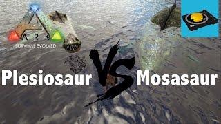 Ark Insight -- Plesiosaur V.S Mosasaurus