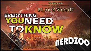 ESO BLACKWOOD - Everything You Need To Know | Console Update & Release Info!