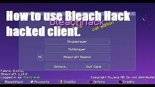 How to use the Bleach Hack hacked client